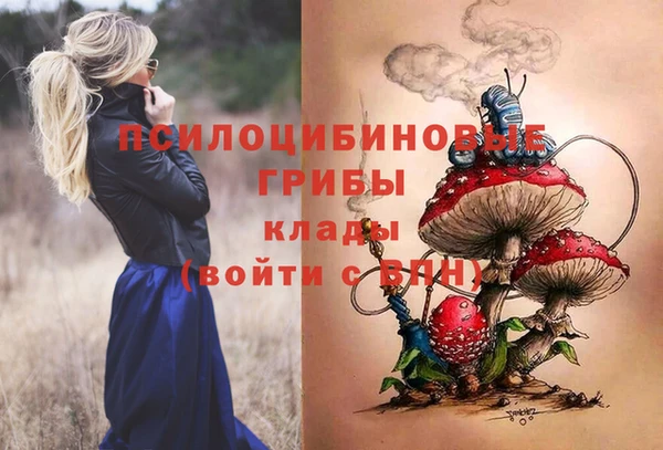 прущая мука Тайга