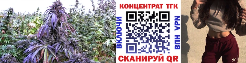 купить   Нолинск  Дистиллят ТГК Wax 